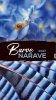 Stenski koledar Barve narave 2027